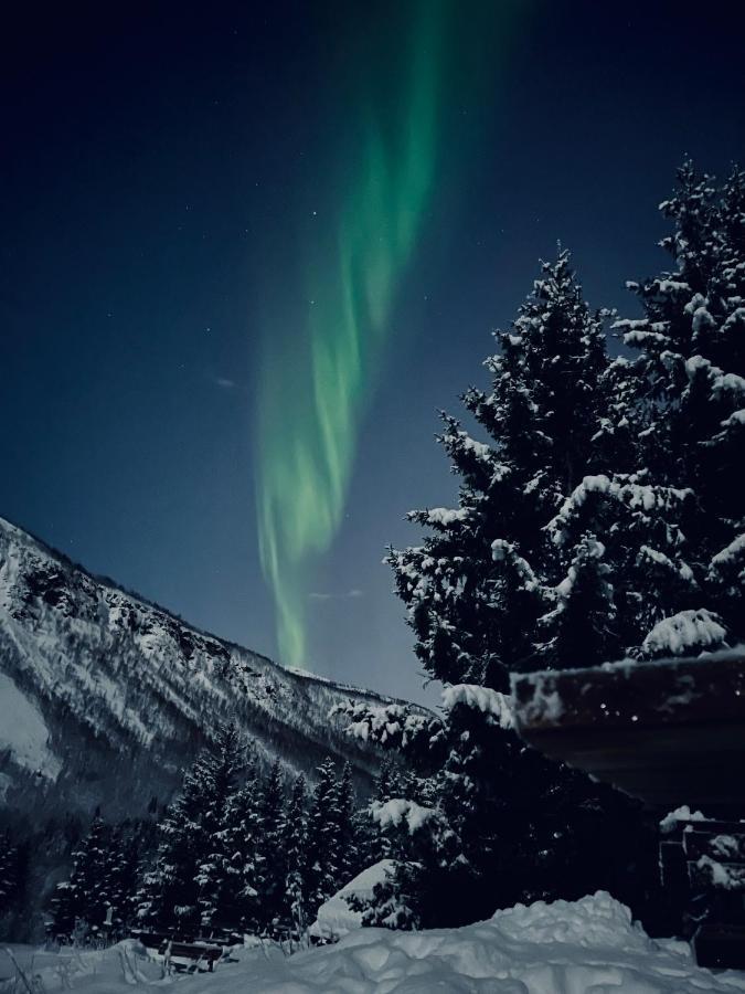 Appartment Close To The City, Ocean And Mountains -Tromso Tromsø Exterior foto